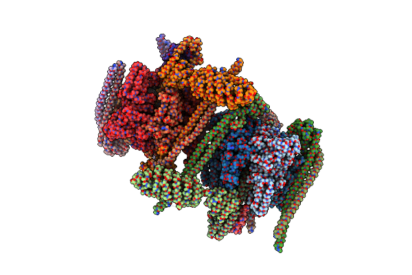 5D80 image