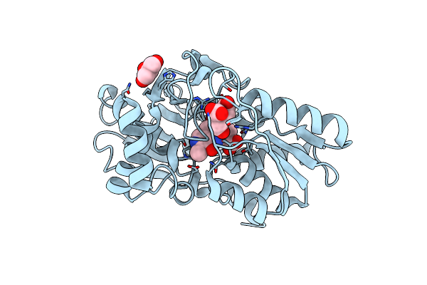 5D85 image