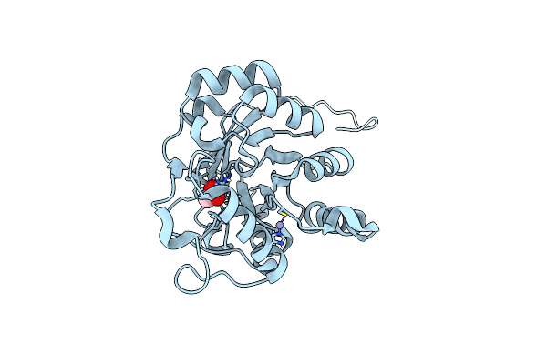 5D88 image