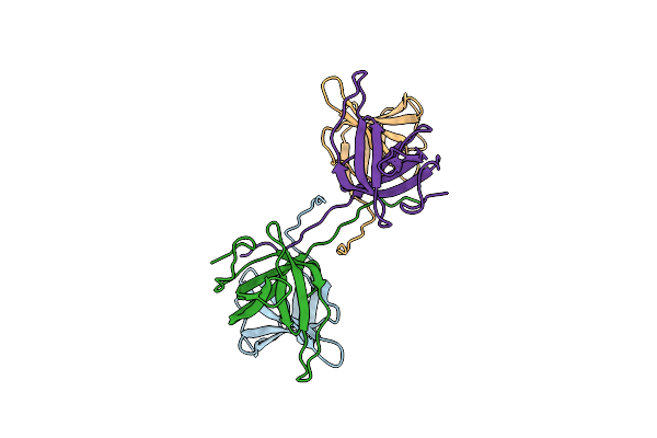 5D8E image