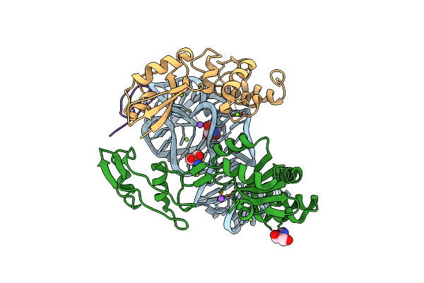 5D8H image