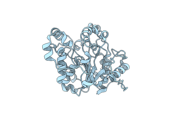 5D8M image