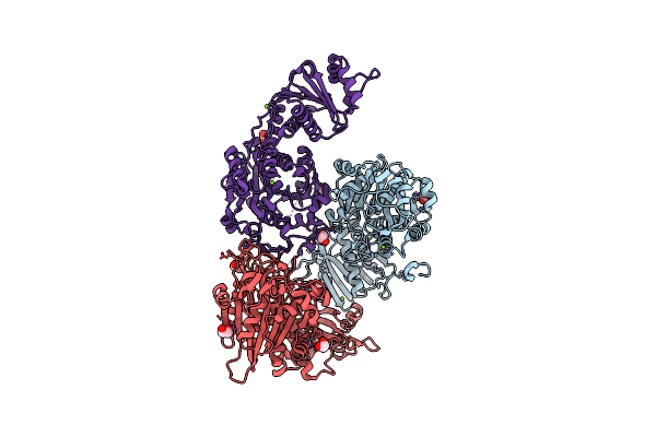 5D8N image