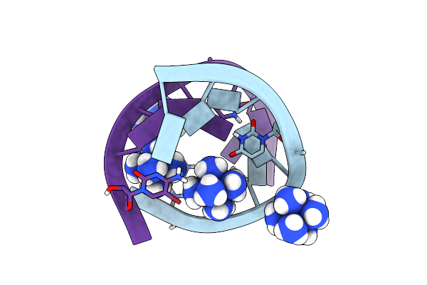5D8T image