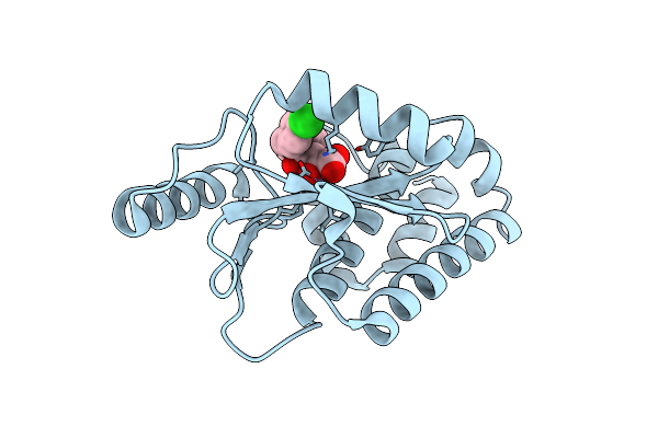 5D8U image