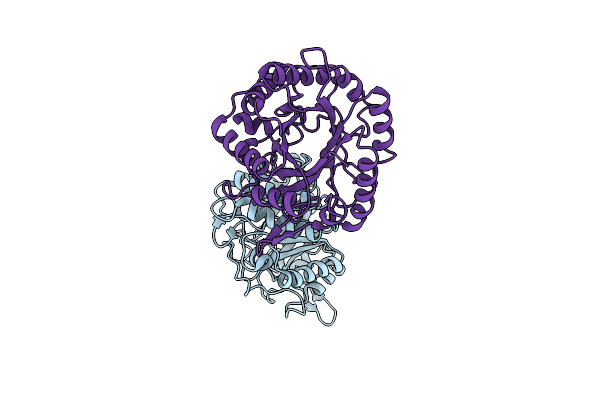 5D8W image