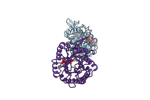 5D8Z image