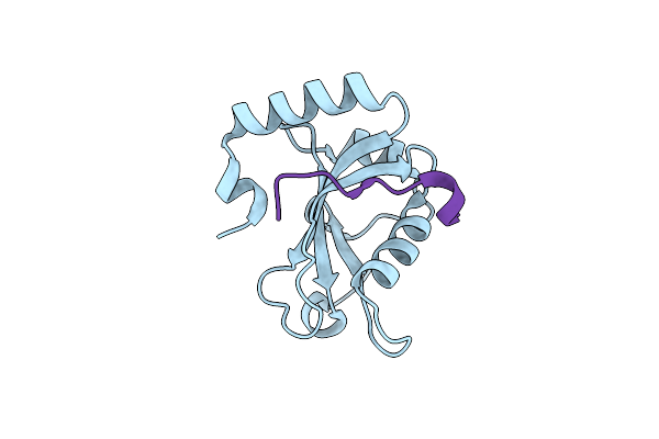 5D94 image