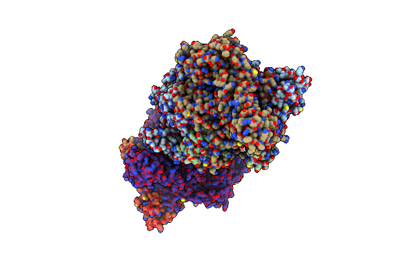 5D98 image