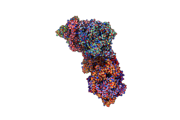 5D9A image