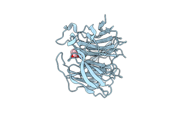5D9B image