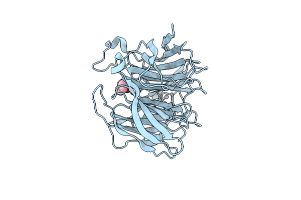 5D9C image
