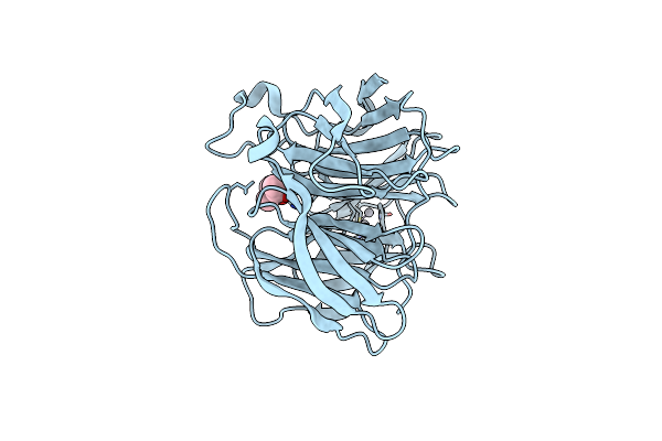 5D9D image