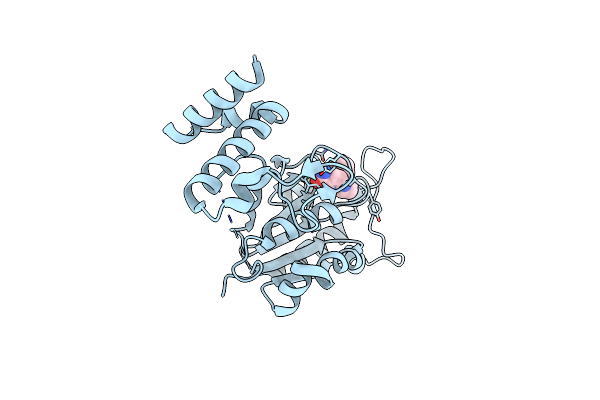 5D9F image