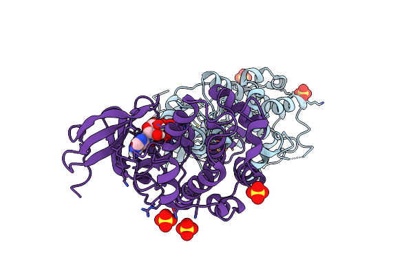 5D9H image
