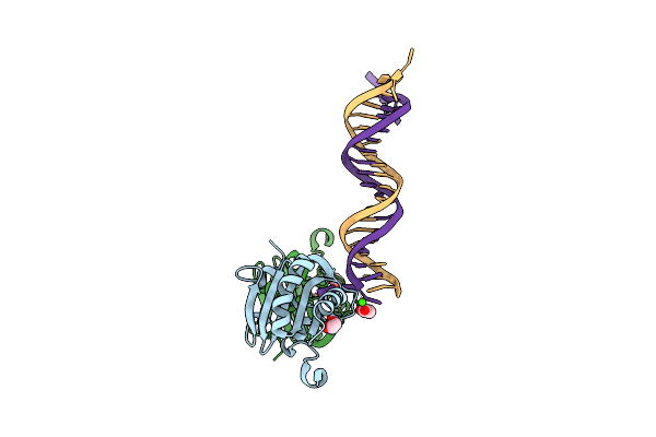 5D9I image