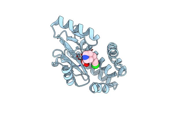 5D9J image