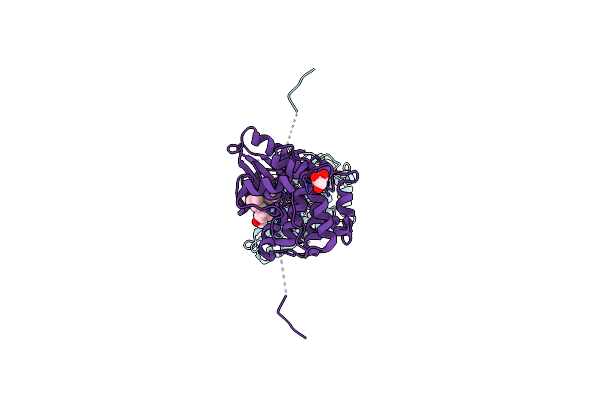 5D9K image