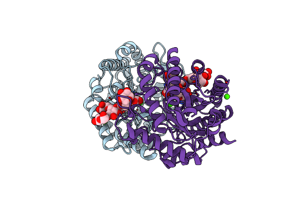 5D9N image