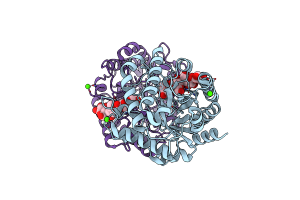 5D9O image