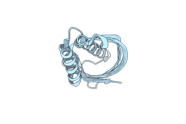 5D9R image