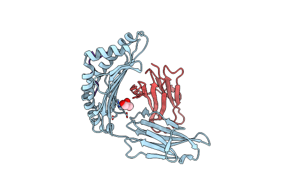5D9S image
