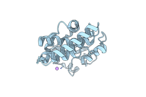 5D9T image