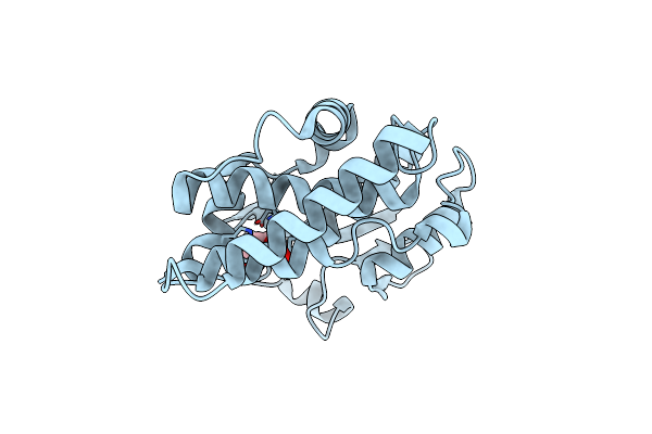 5D9W image