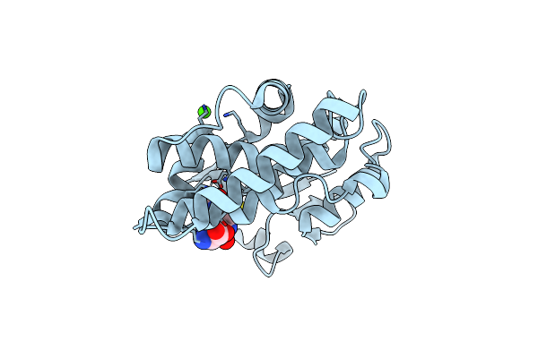 5D9X image