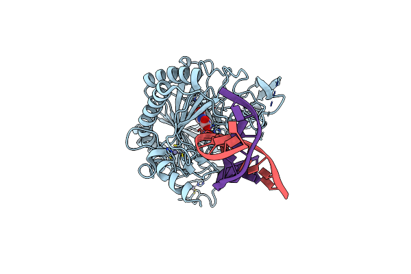 5D9Y image