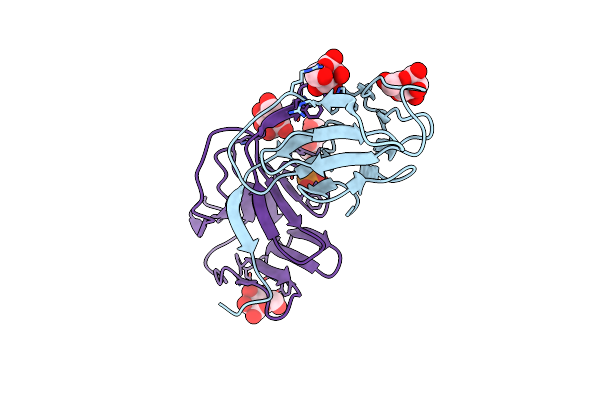 5D9Z image