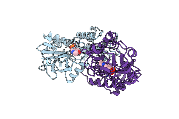 5DAA image