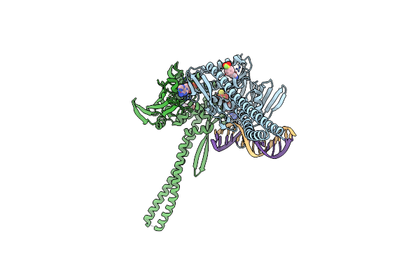 5DAC image