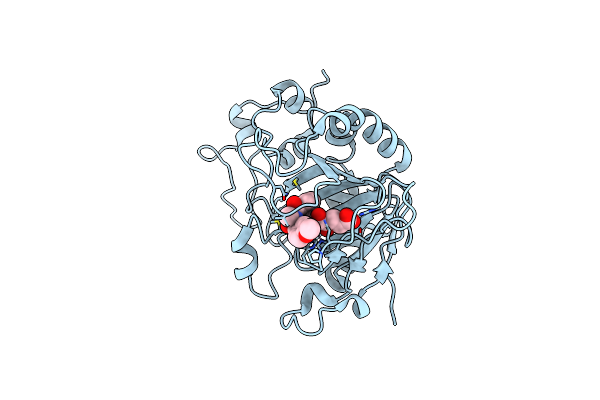 5DAQ image
