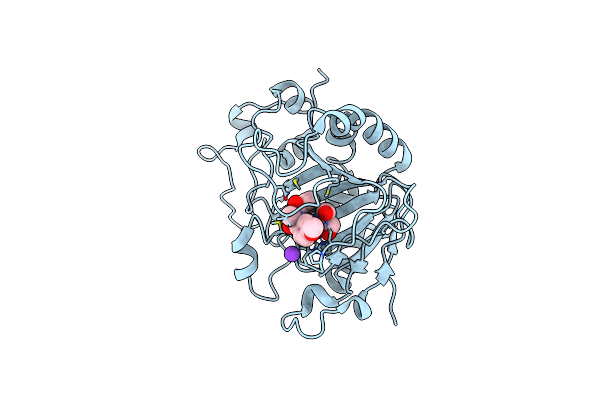 5DAV image