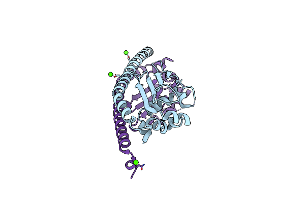 5DAY image