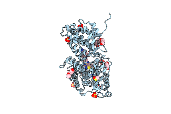 5DB1 image
