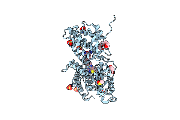5DB2 image