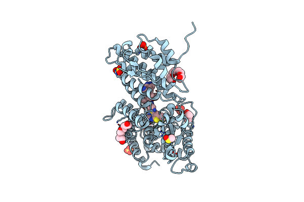 5DB3 image