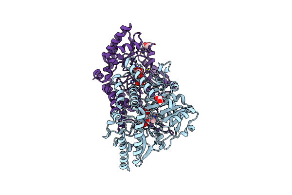 5DB5 image