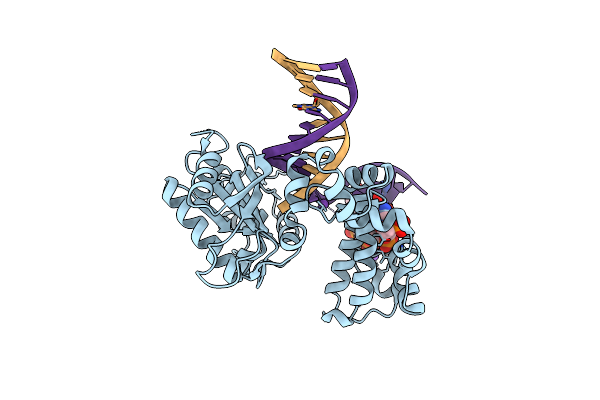 5DB6 image