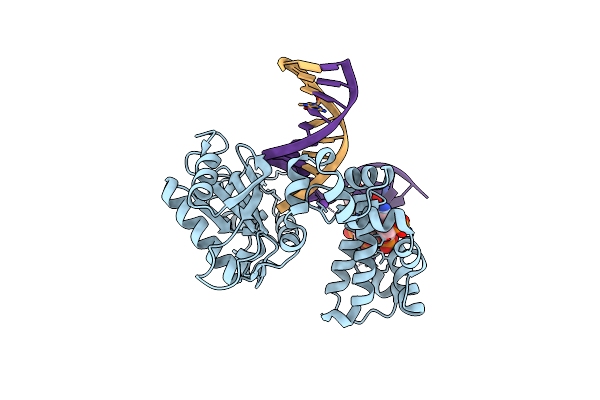 5DB7 image