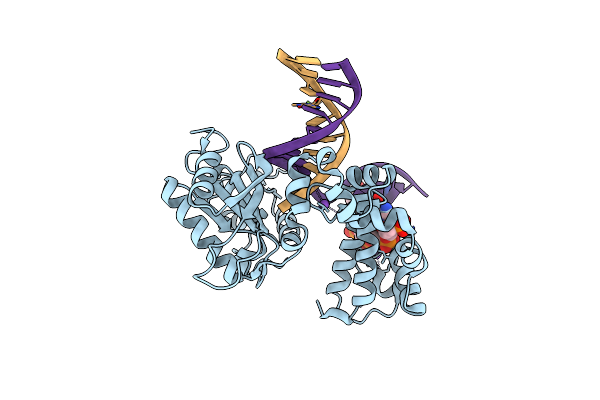 5DB8 image