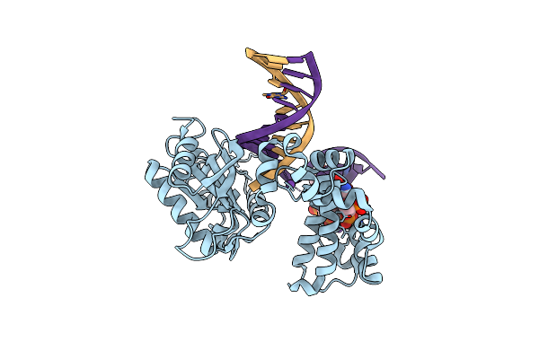 5DB9 image
