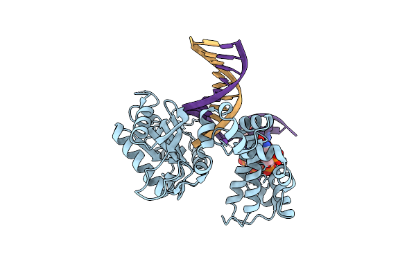 5DBA image