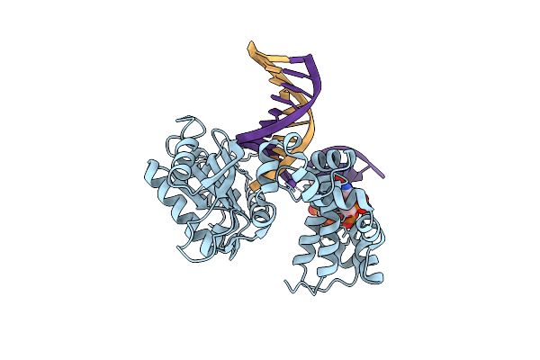 5DBC image