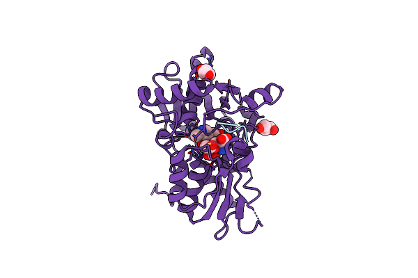 5DBE image