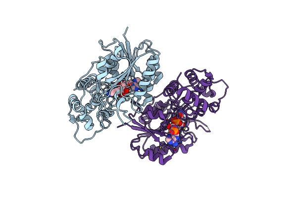 5DBF image