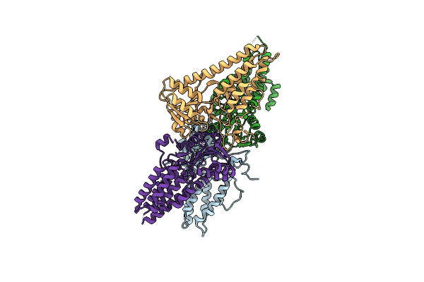 5DBO image