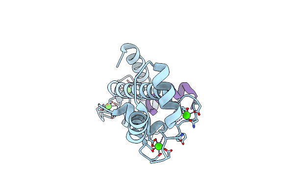5DBR image